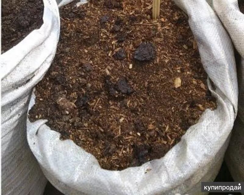 Навоз перепревший коровий. Конский навоз хороший. Навоз конский перегнивший. Конский навоз. Перепревший навоз.