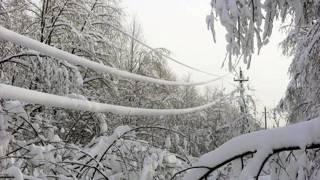 Снег на проводах песня. Амели на мели наизусть текст. Налипание мокрого снега на провода. Мокрый снег на проводах. Обледенение проводов.