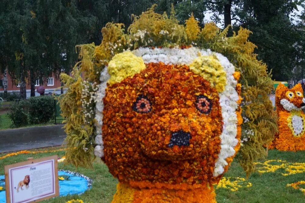 фигуры из цветов. фестиваль цветов ижевск. цветочная скульптура. композиция из цветов на фестиваль. фестиваль цветочных композиций.
