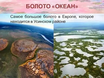 Болото океан