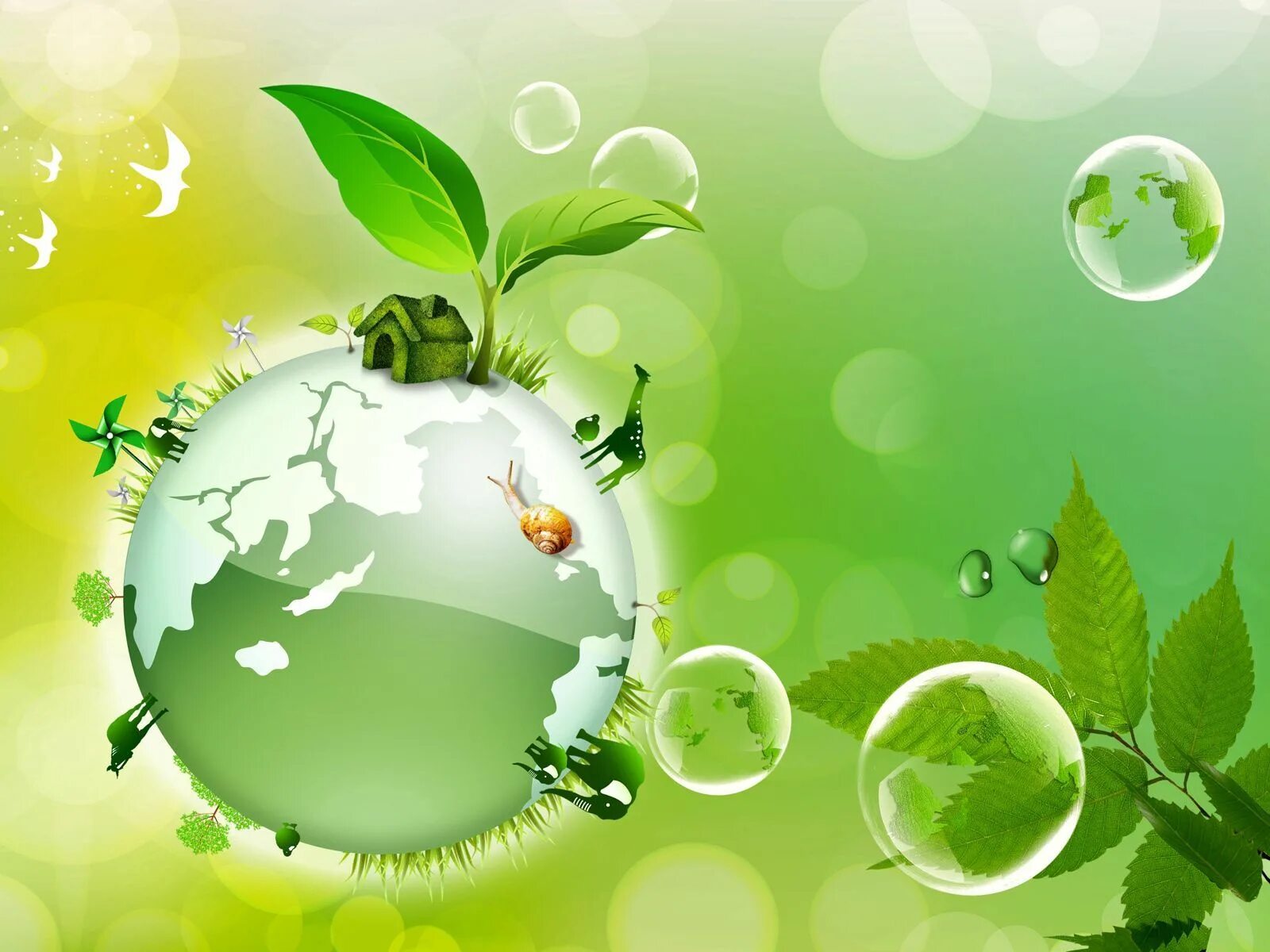 Conference series earth and environmental science