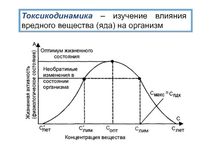 Токсикодинамика