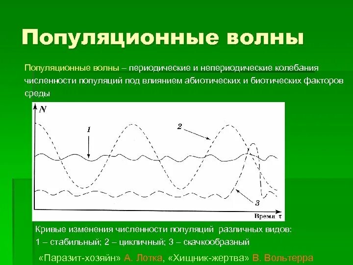 Популяционные волны являются фактором. Периодические и непериодические колебания численности популяции. Популяционные волны. Волны жизни популяционные волны. Колебания численности популяции.