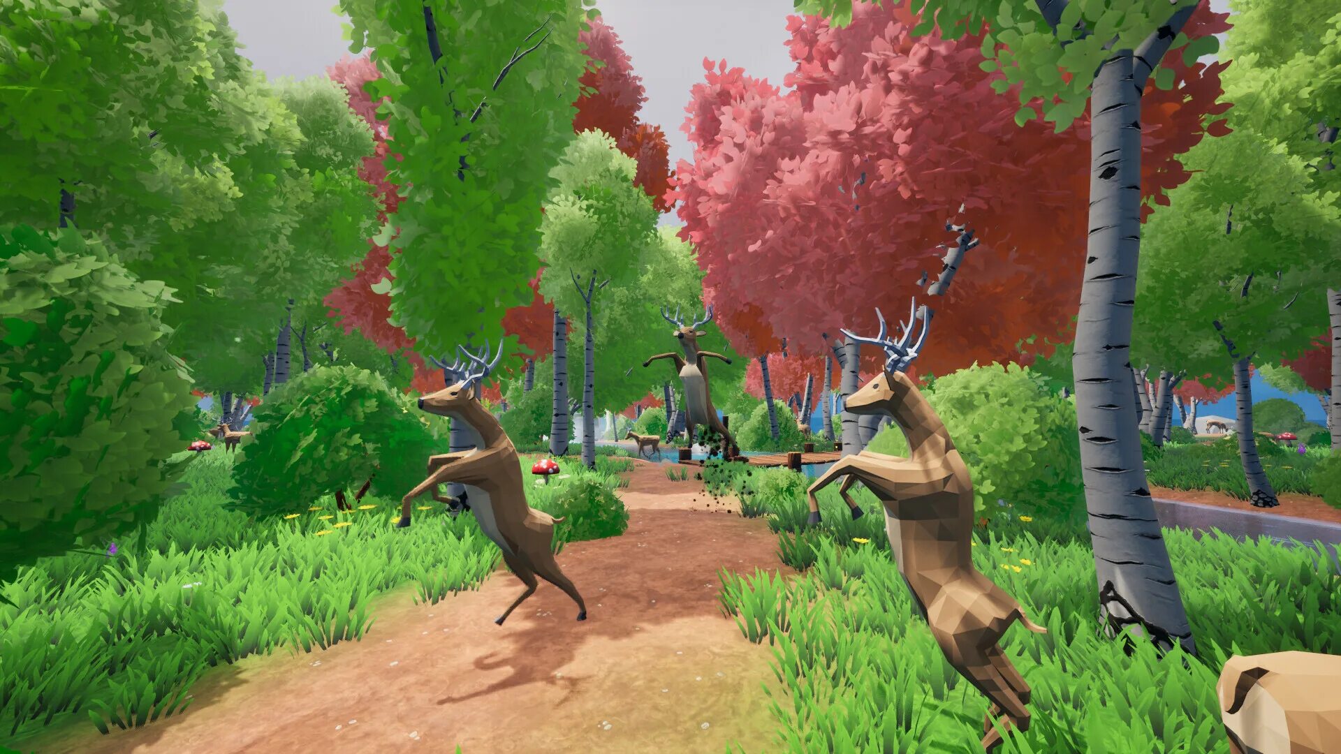 Deer studio. Deer studio