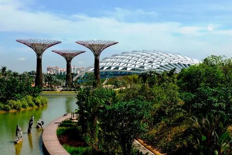 Сингапурский ботанический сад