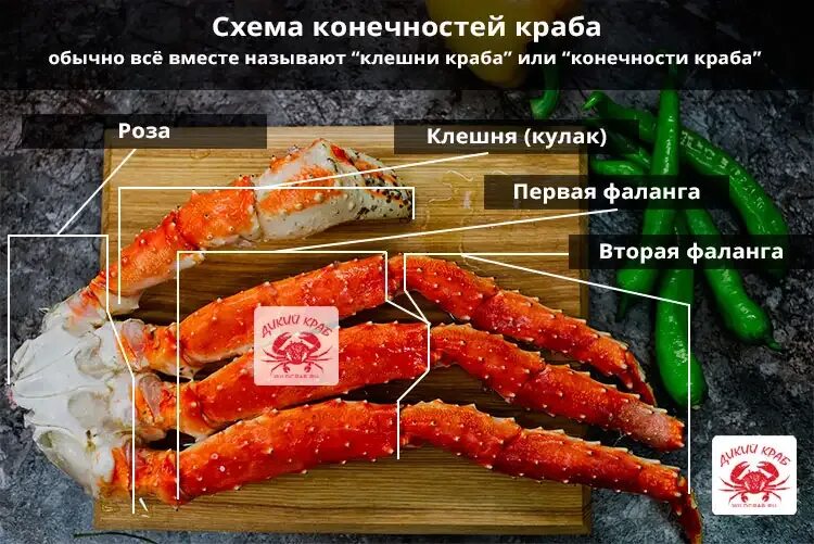 Камчатский краб весит. Клешни краба Камчатского размен l2. Клешни Камчатского краба л5. Клешня Камчатского краба l3 вес. Камчатский краб l2.