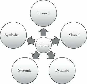 System culture