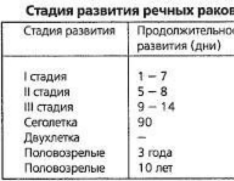 Продолжительность жизни речного рака. Сколько растет злокачественная. Развитая Речная ферма стардия. Рачки рост в домашнем условия. За сколько времени растет опухоль.