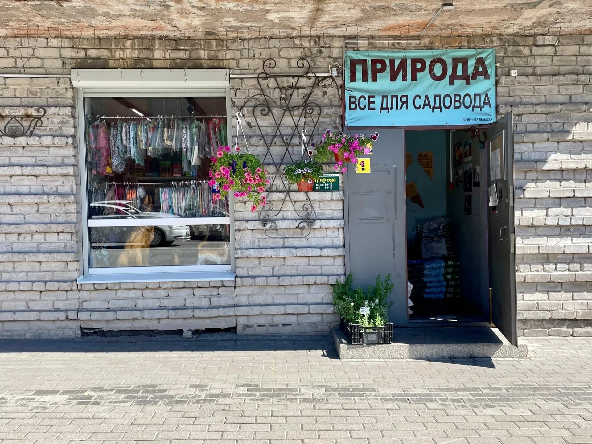 Выборг 40. Выборгская 40 выборг. магазин природа выборг. приморская 40 выборг. выборг магазины.