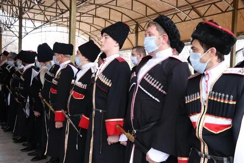 Политика отношения казачества