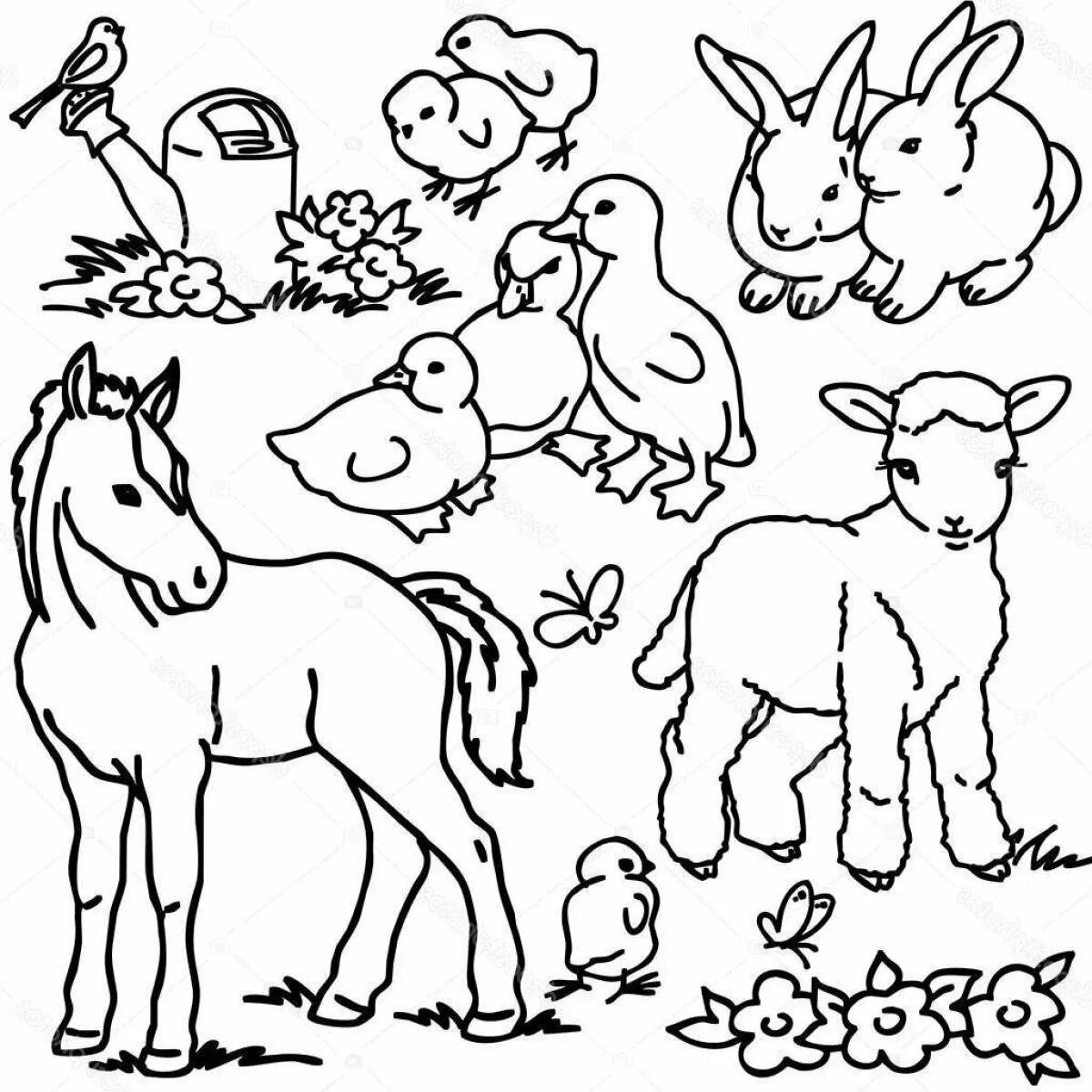 Животные группами раскраски. Раскраски животные для детей. Раскраска домашние животные. Раскраски домашних животных для детей. Раскраска животные на ферме.