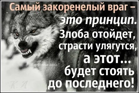 Враги ставшие любовью