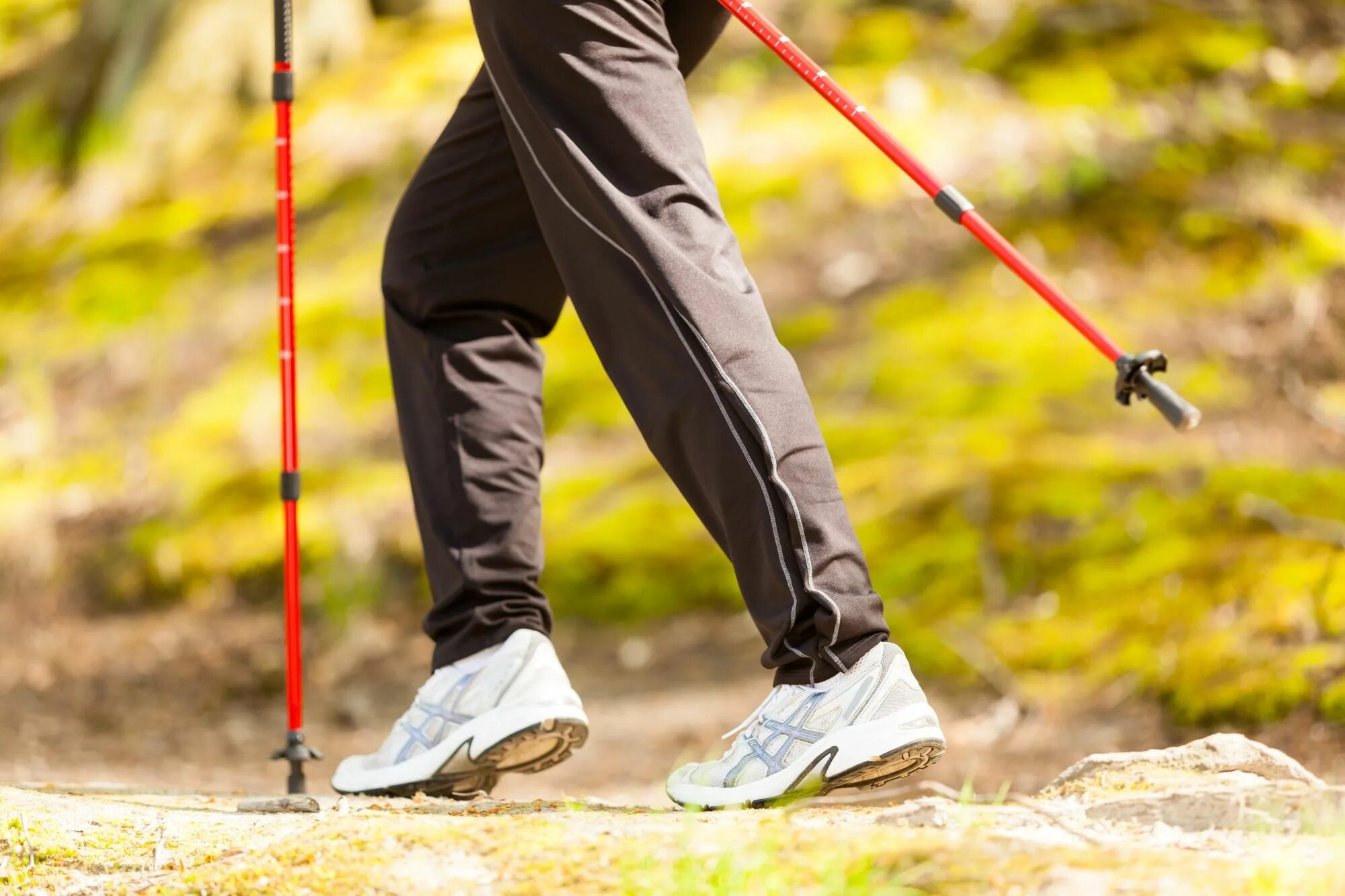 палки tramp для скандинавской ходьбы compact. палка для скандинавской ходьбы 2 шт. палки для скандинавской ходьбы ts-302. палки для скандинавской ходьбы нордик. Hawk телескопические f18435.