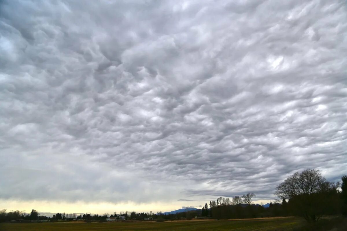 Кучевые дождевые облака. Кучево-дождевые (cumulonimbus). Грозовые облака. Кучево-дождевые облака облака. Дождливые тучи.