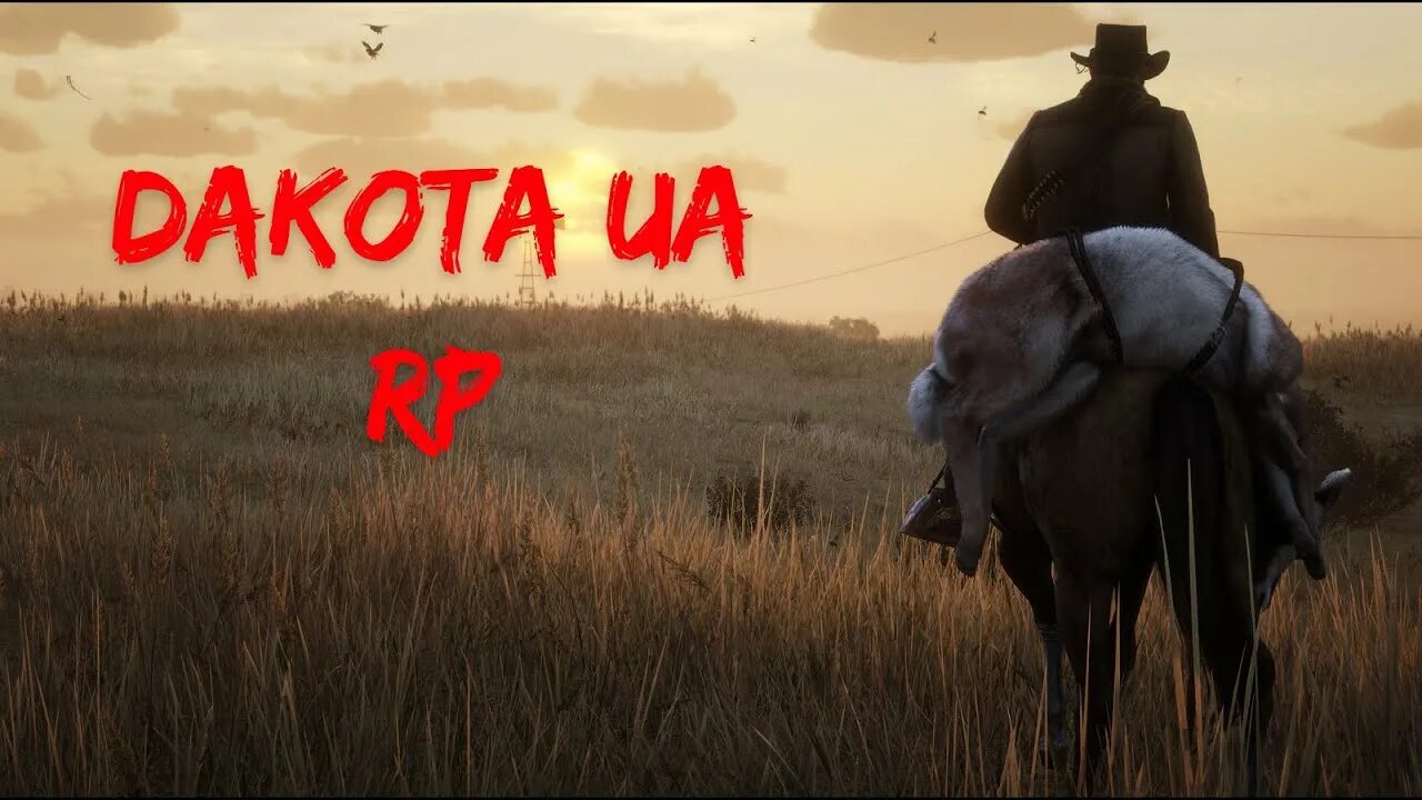 Rdr 2 graphic