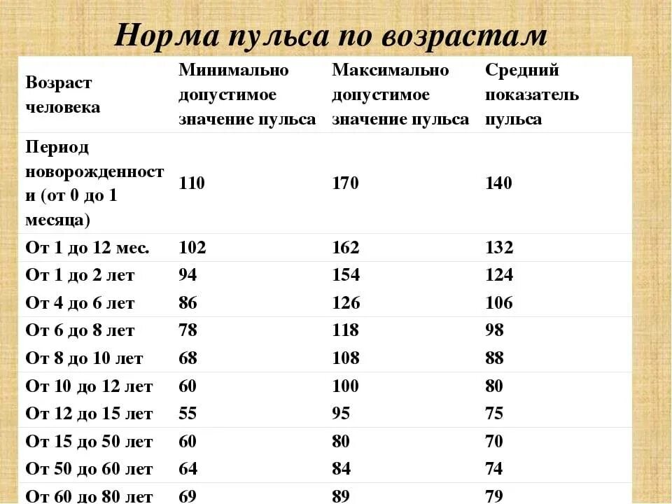 Пульс 23
