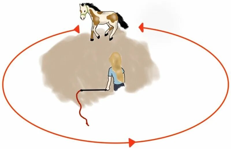 С какой скоростью идет девочка. Лошадь ходит по кругу.