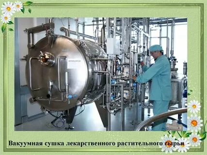 Сушка учебник