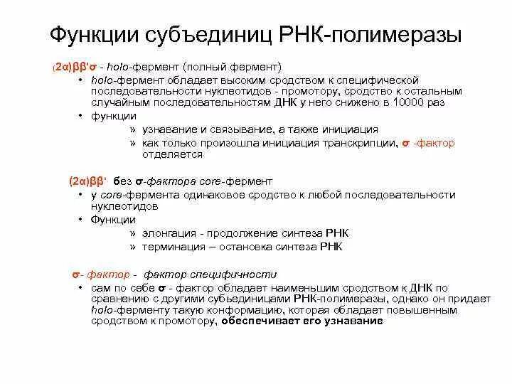 Функциональная рнк. Функции субъединиц РНК-полимеразы. Функции РНК полимеразы. Ферментативная функция РНК. РНК полимераза функции.