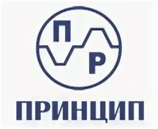 Логотипы строительных компаний prinzip. Prinzip застройщик екатеринбург. Принцип недвижимость логотип. Принцип застройщик екатеринбург. Процесс анализа программирование.