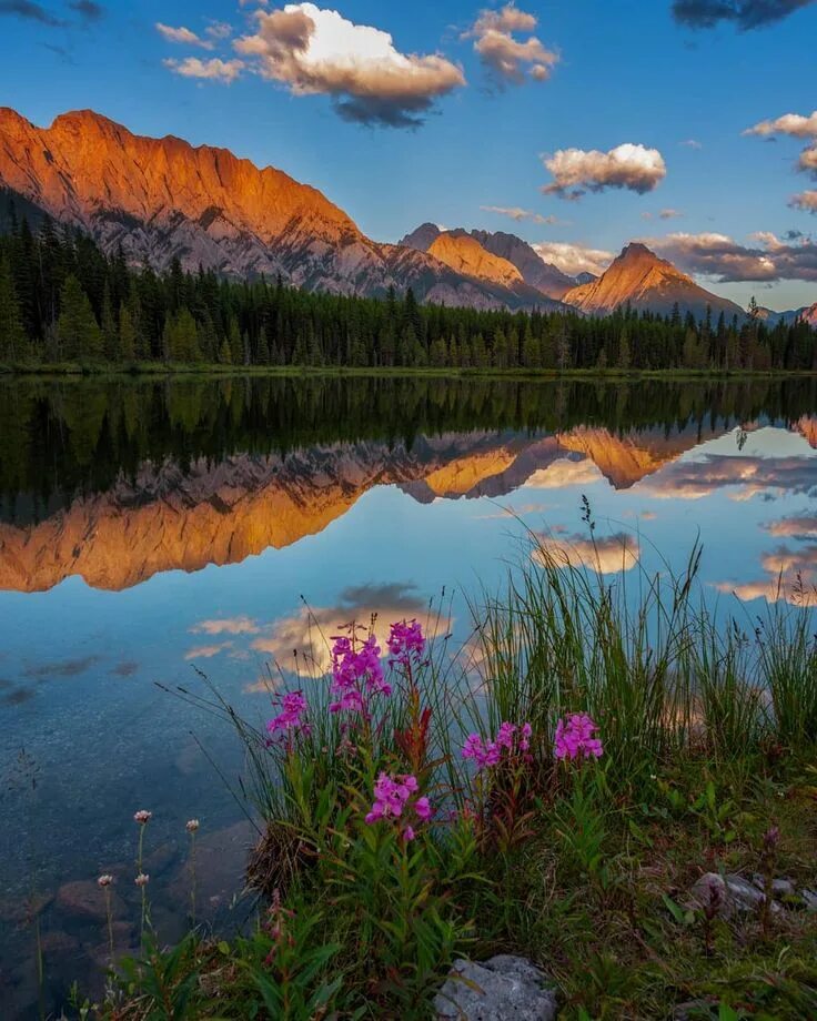 Природа посты. Красота природы. Красивый пейзаж. Альпийские луга франции. Национальный парк гранд тетон, гора моран.