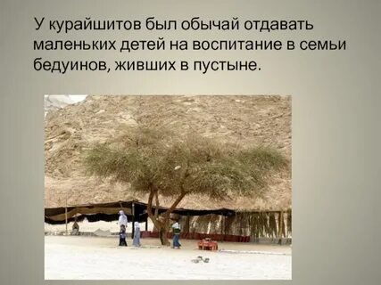 Курайшиты
