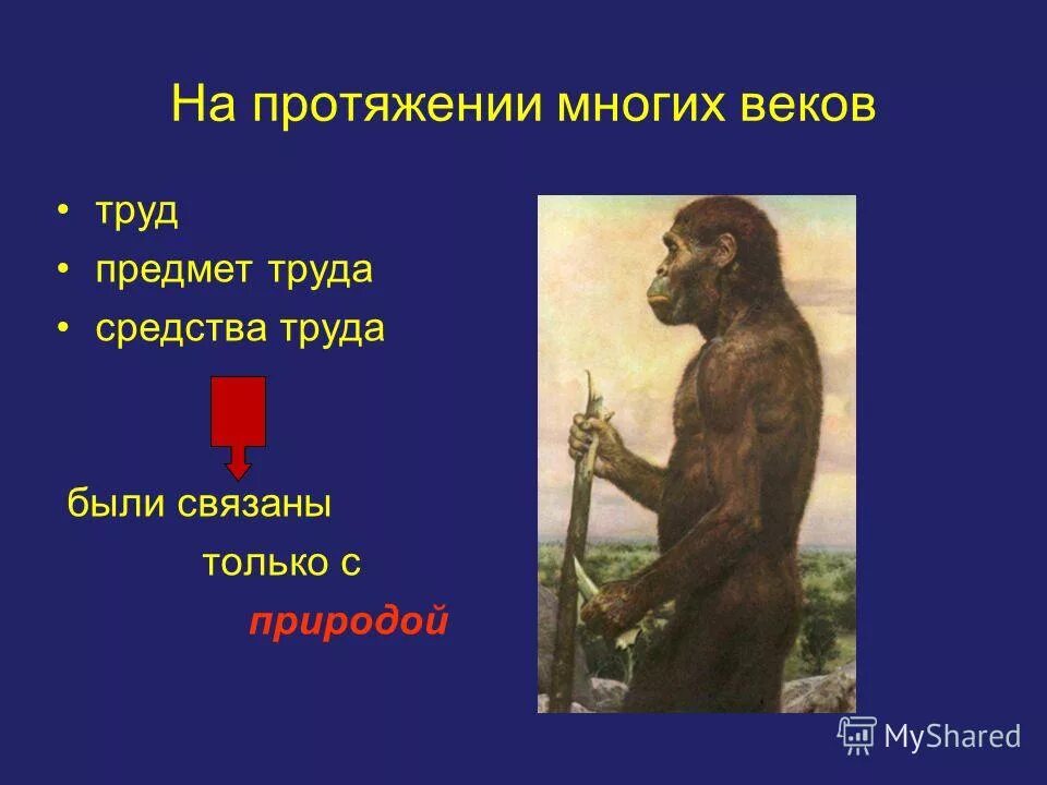 Толстой о смысле жизни. Лев николаевич толстой смысл жизни. Потребность в труде и отдыхе. Трудовая деятельность. На протяжении многих лет труд был только.