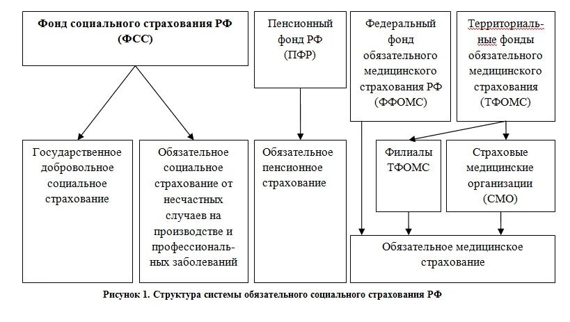 Структура обязательное пенсионное страхование РФ схема. Система социального страхования в РФ. Структура системы социального страхования РФ. Обязательное социальное страхование схема.