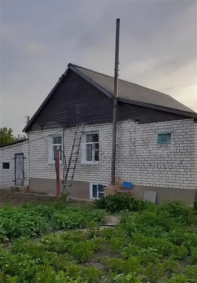 Стрельноширокое волгоградская область дубовский. Стрельноширокое волгоградская область дубовский. Стрельноширокое волгоградская область дубовский. Песковатка волгоградская область. Стрельноширокое волгоградская область дубовский.