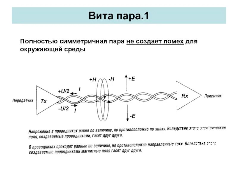 Строение симметричного кабеля. Отрезок симметричный отрезку. Симметричные концы отрезков 1 класс. Найдите и назовите пару отрезков симметричных относительно оси on. Имеет ли центр симметрии пара пересекающихся прямых.
