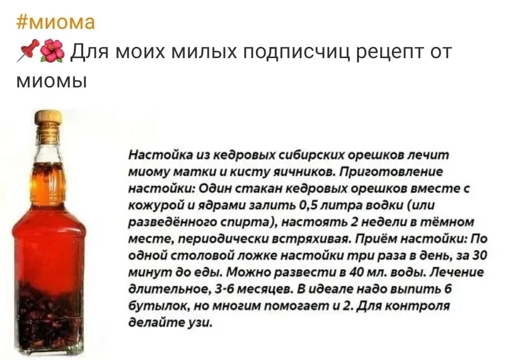 Как правильно принимают или принемают. Настойка алкогольная. Приготовление настоек.