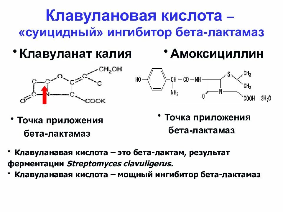 Амоксицилиновая группа антибиотиков. Клавулановая кислота. Амоксициллин клавулановая кислота. Ингибиторы бета лактамаз. Клавулановая кислота формула.