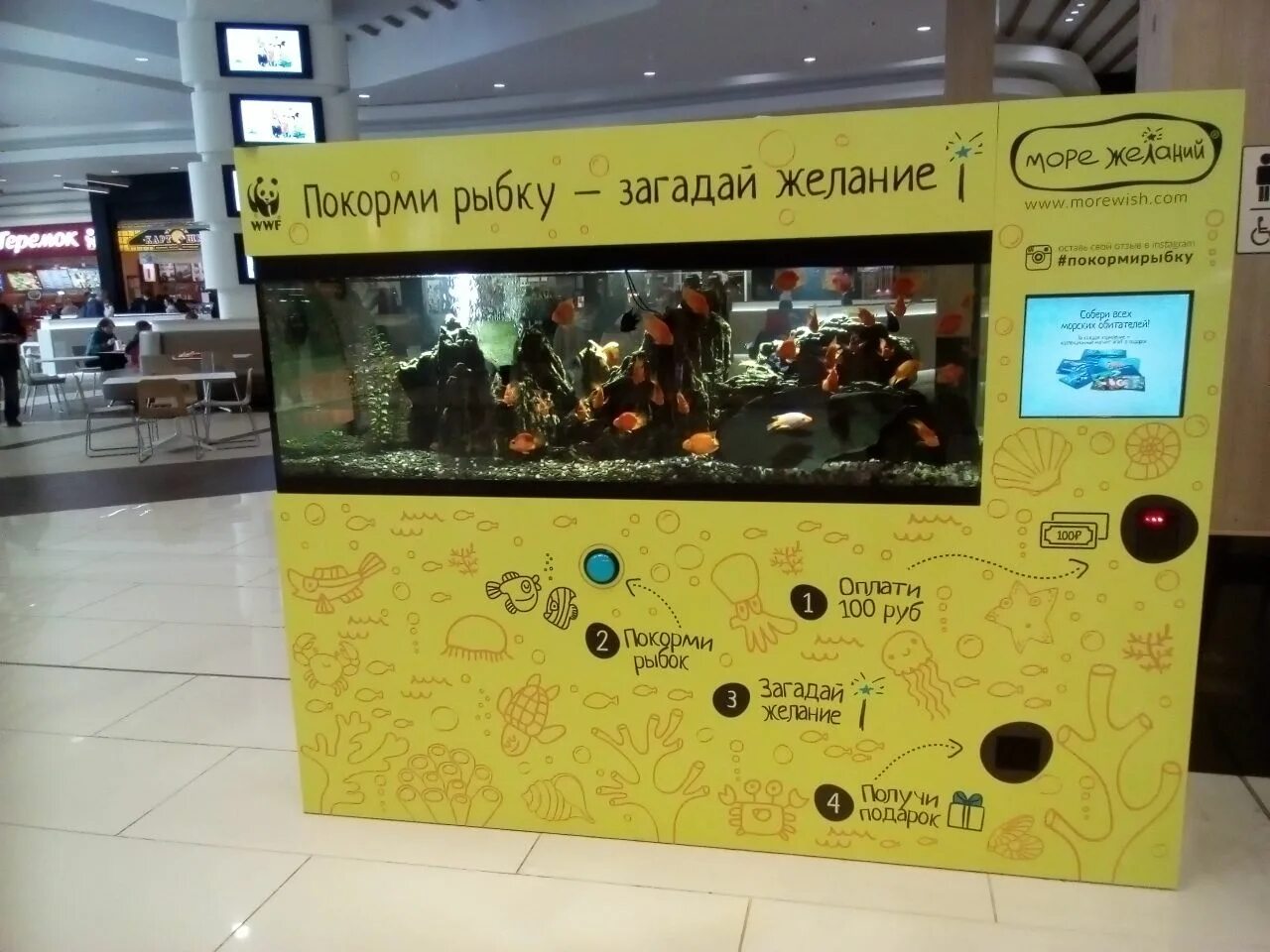 Автомат в аквариуме. Море желаний аквариум. Море желаний. Автомат в аквариуме. Магазин море море саранск.
