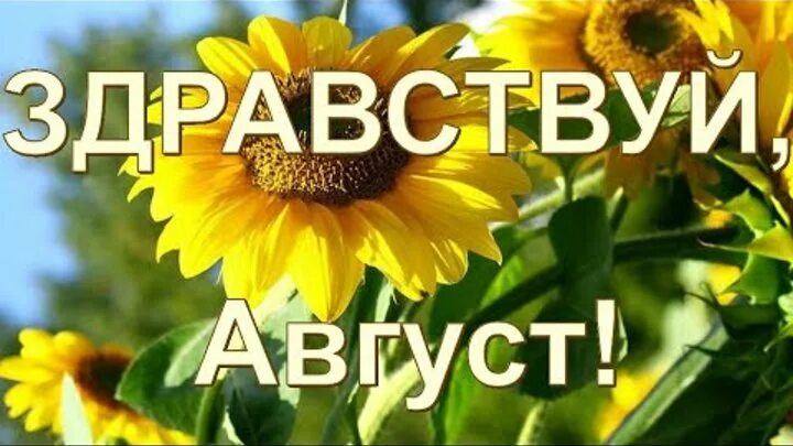 С добрым утром прощай июль здравствуй август. Здравствуй август. открытки здравствуй август. ну здравствуй август. здравствуй август стихи.