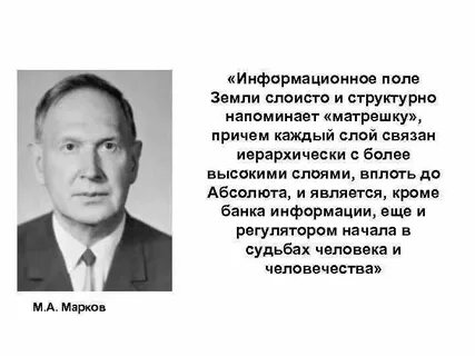 Поли информационный