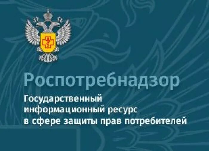 Проект защити свои права