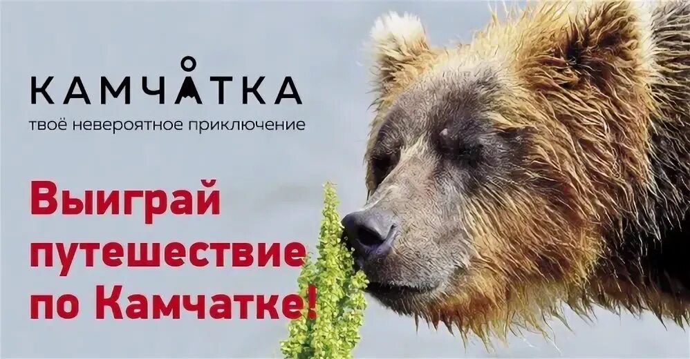 Твоя невероятная