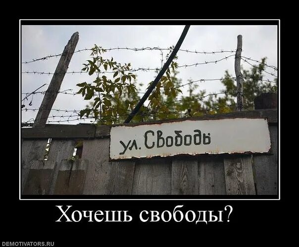 Я хочу свободы. Свобода демотиваторы. Ты хотел свободы. Аватарка свобода. Хочу больше свободы.