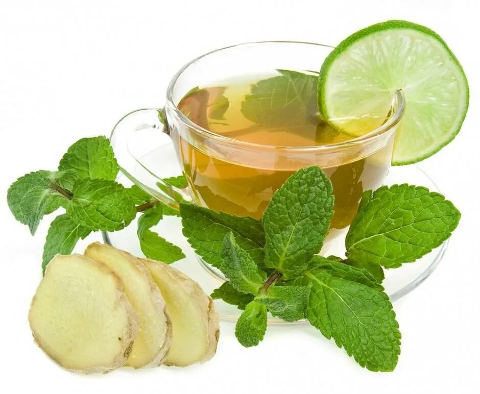Лайм мята чай зеленый. Имбирь мята лимон чай. Чай с мятой. Чай с имбирем и мятой. Пейте зеленый чай лимоном