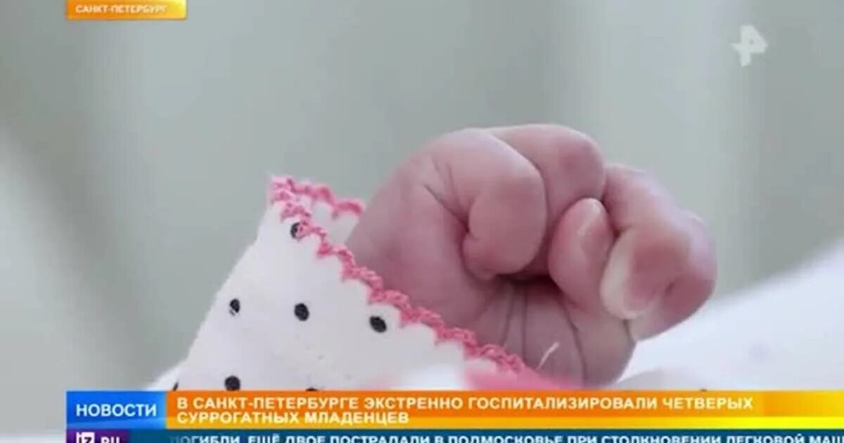 В петербурге обнаружили. В петербурге обнаружили