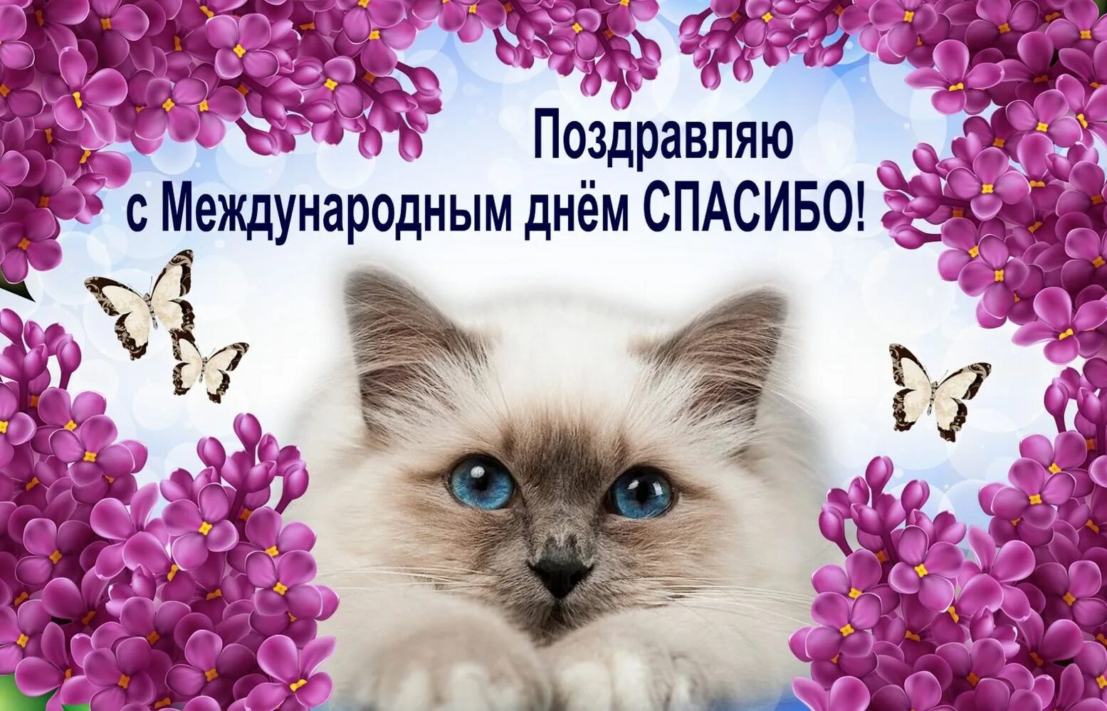 Картинки с международным днем спасибо 11 января. Международный день спасибо. день спасибо открытки. международный праздник спасибо. день спасибо 11 января поздравления.