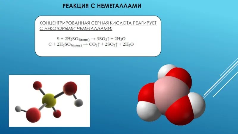 Реакция серной кислоты с неметаллами. Серная кислота с неметаллами. Реакция неметаллов с концентрированной серной кислотой. Серная кислота с неметаллами взаимодействует. Реакции с горячей концентрированной серной кислотой