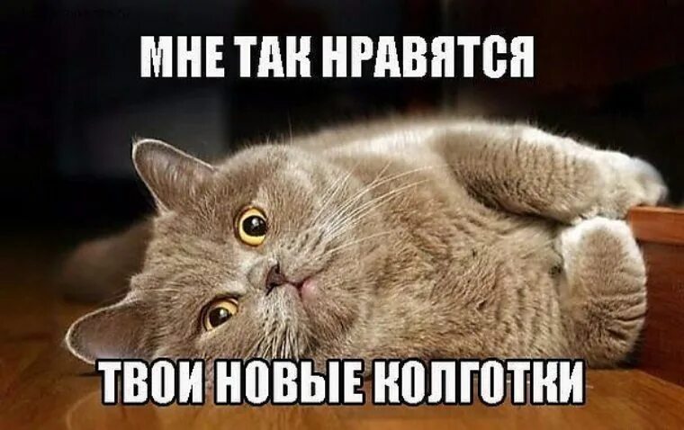 А мне так нравится не сводить