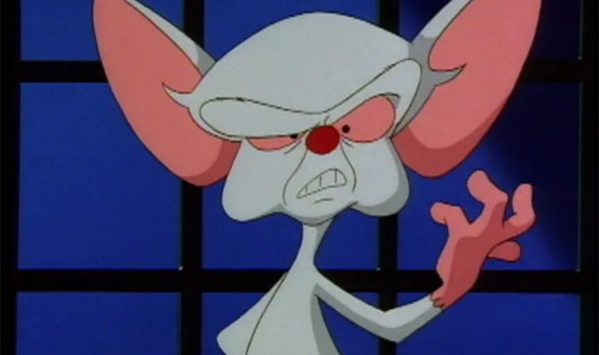 Мыши пинки и брейн. Пинки и мозг. Пинки и брейн картинки. Pinky and the brain. Пинки и брейн фото.