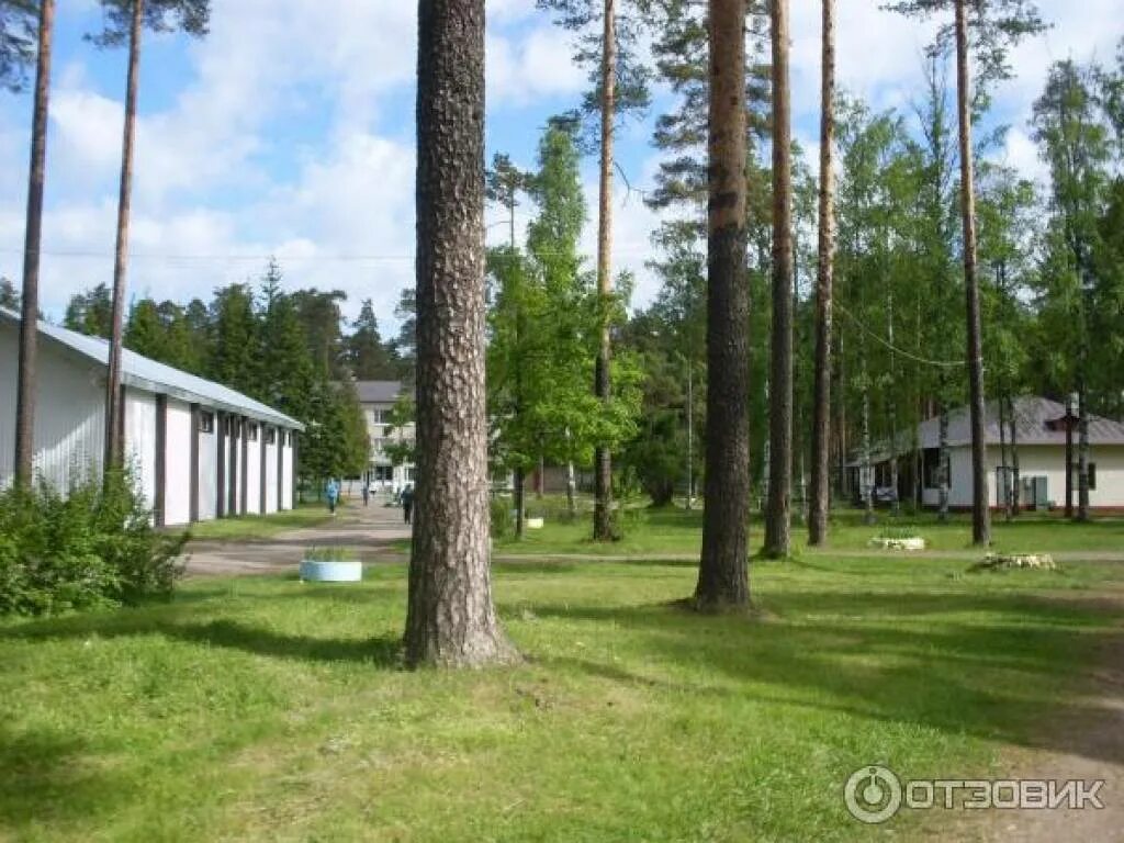 Лагерь ленинградец ленинградская область. Лагерь ленинградец ленинградская область. Детский лагерь дсол «ленинградец» в пос. Ленинградец рощино. Ленинградец городской поселок рощино.
