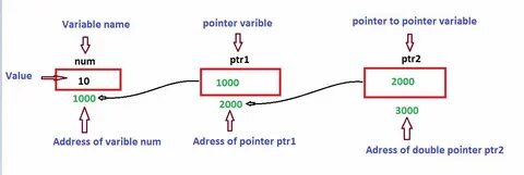 Pointers c