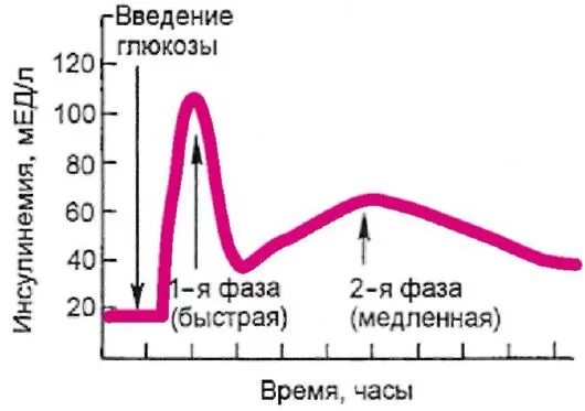 скачки глюкозы. график изменения сахара в крови после еды. скачки глюкозы. скачки глюкозы. график уровень глюкозы в крови после еды.
