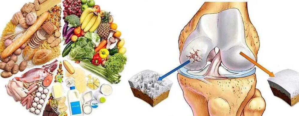 Хрящ жир. Трабекулярная структура кости. Акулий жир акулий хрящ гель-бальзам 125мл. Китайский акулий хрящ в капсулах. Суставная капсула препарат гистологический.