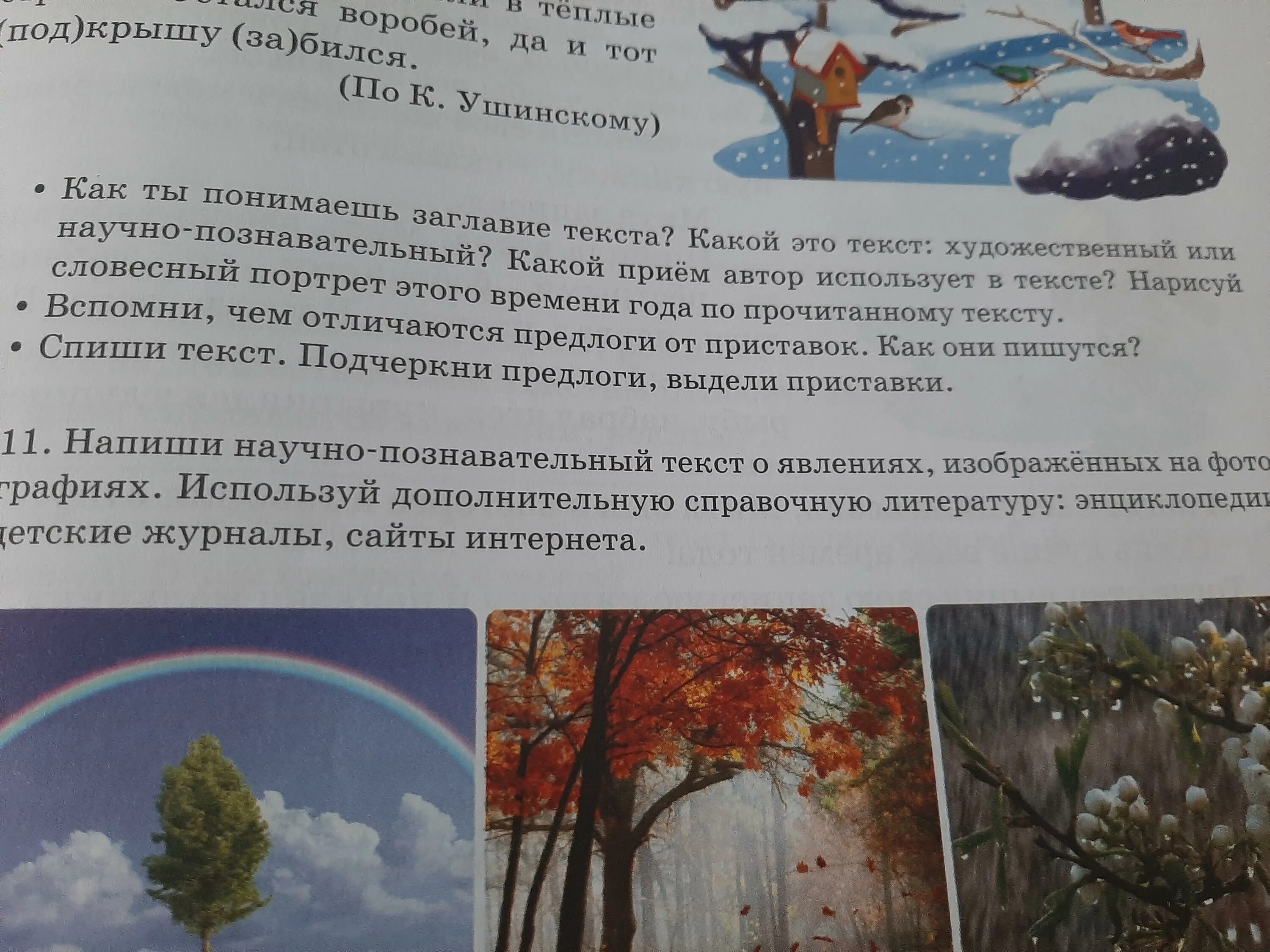 Ушинский проказы зимы читать. Проказы старухи зимы. проказы старухи зимы ушинский. прочитай текст проказы старухи зимы. проказы старухи зимы текст.