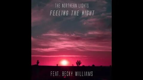 Feeling the night